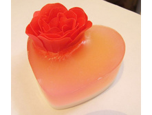 "��������" �����������