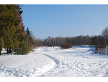 ������� ����� 14.03.2009