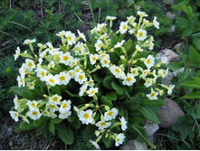 �������. ����� ������� ���ԣ�.