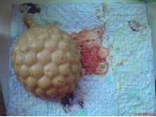  �������� � ������