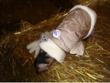 � ���� 4�4 �� ���� ��� ��������))