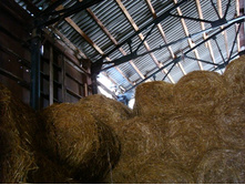 ���������!)