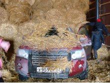 ����������