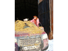 "������" ��������