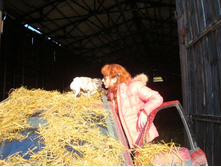 ���� � � ���� �������!..))