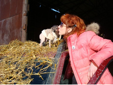 ��� ������!