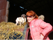 ��� �� �����!))