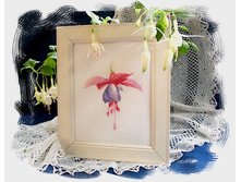 ��������  Beatrice