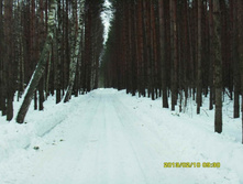 09.JPG