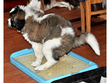 1 014 (�����).jpg