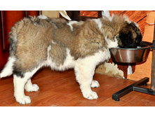 1 015 (�����).jpg