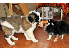 1 020 (�����).jpg