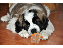 1 022 (�����).jpg