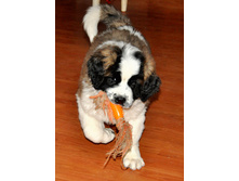 1 029 (�����).jpg