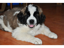 1 038 (�����).jpg