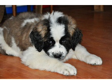 1 039 (�����).jpg