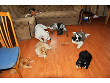 1 044 (�����).jpg