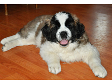 1 052 (�����).jpg