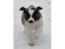 1 060 (�����).jpg