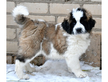 1 074 (�����).jpg