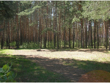 SANY0052.JPG