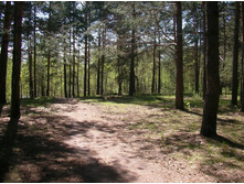 SANY0053.JPG