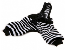 ����� ���� ��������� , 320�.jpg