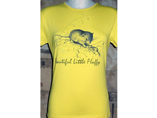 290���,������ 95%, ������ 5%