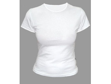 290���,������ 95%, ������ 5%