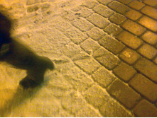 ���� ������ ����