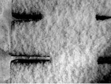 ��������� ������.