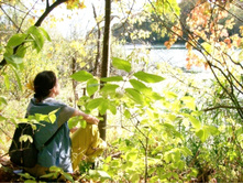 ������. �������� 2007.