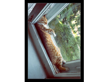 ������.����� - ��������� ���������