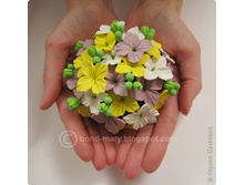 ������� ����� � ����� ��� ������������� ������������� �� �������.jpg