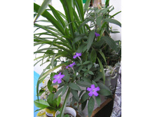 �������