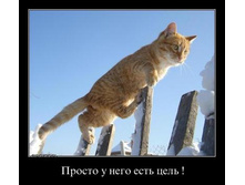 ������ � ���� ����� ����.jpg