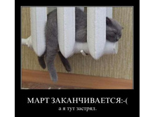 ����� � �������.jpg