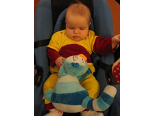 �������� �� ����?