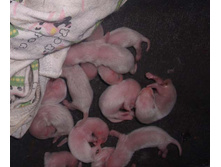 ������� 1 ����