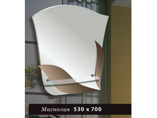 �������� 530�700 (����� 500��.) 430 ���.jpg