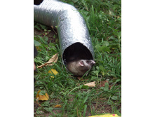 21.09.2010 13:13:57