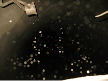 ������ ����