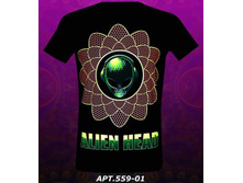 420 ���  ������ 95%, ������ 5%