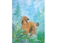 "���� ��������"