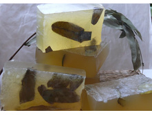 ���������� � ����������