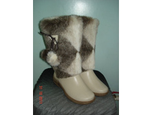 �����-����� -������� ����