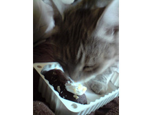 ������ � "��������"