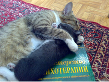 ������������������ ������!