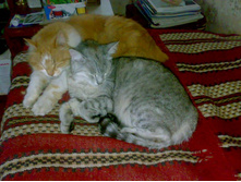 ��� ����: ������ � ����� �������