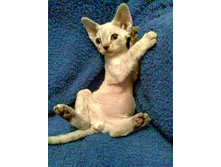 2 ������